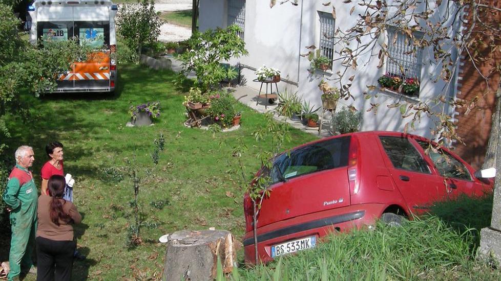 Una cimice lo distrae e finisce contro un albero