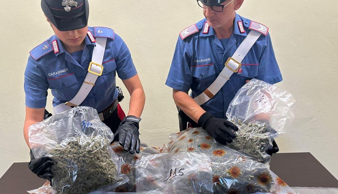 Quattro chili di marijuana a Ostellato, denunciato un 34enne