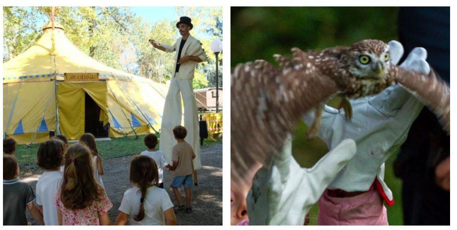 Dieci cose da fare a Reggio Emilia e provincia nel week end