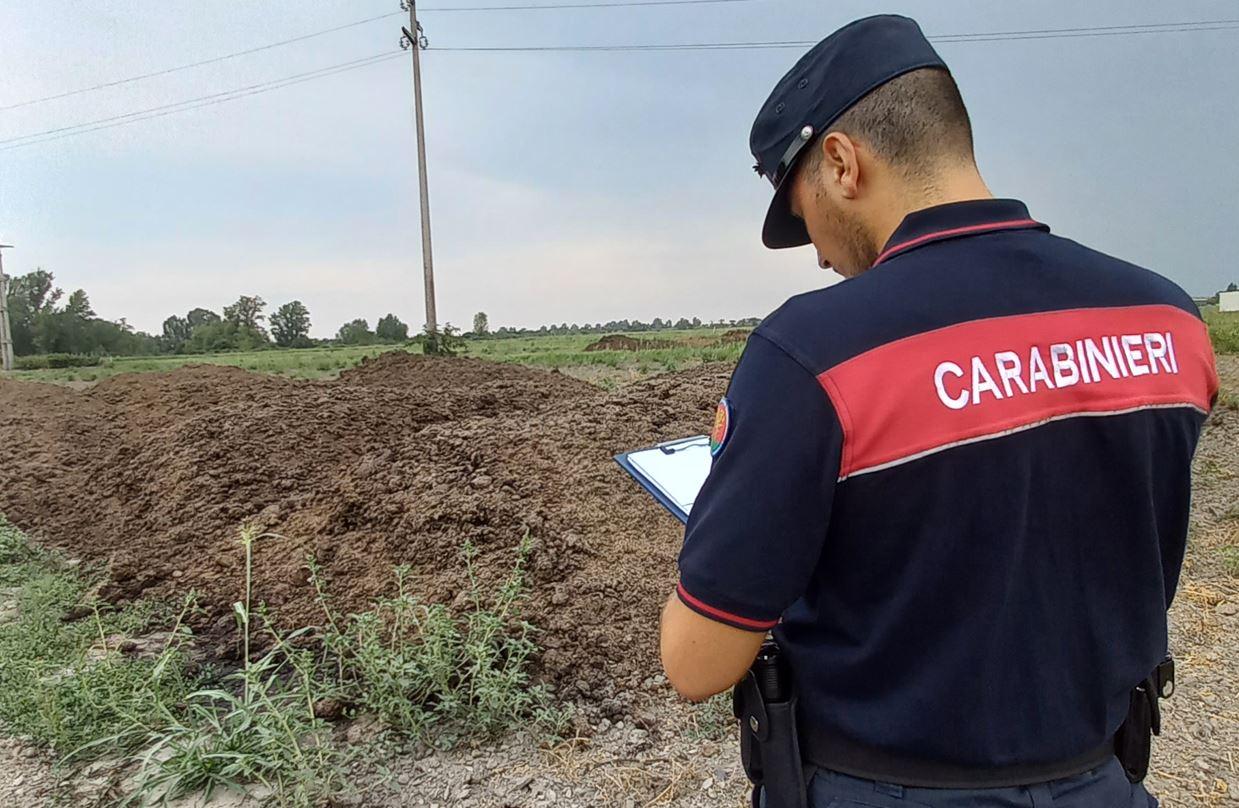 Mesola, troppo letame nei campi. Rischio azoto nelle acque