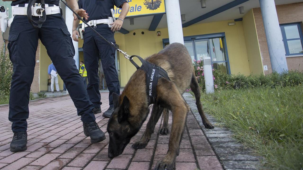 Agenti con i cani e in borghese in servizio davanti alle scuole modenesi