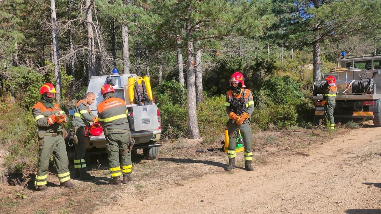 Corpo forestale, concorso in scadenza: ecco come partecipare