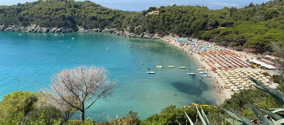 
	La spiaggia di Fetovaia

