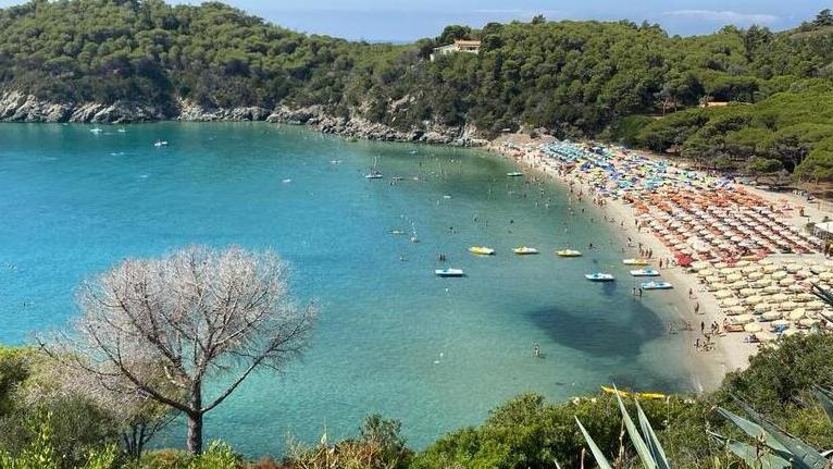 La spiaggia di Fetovaia