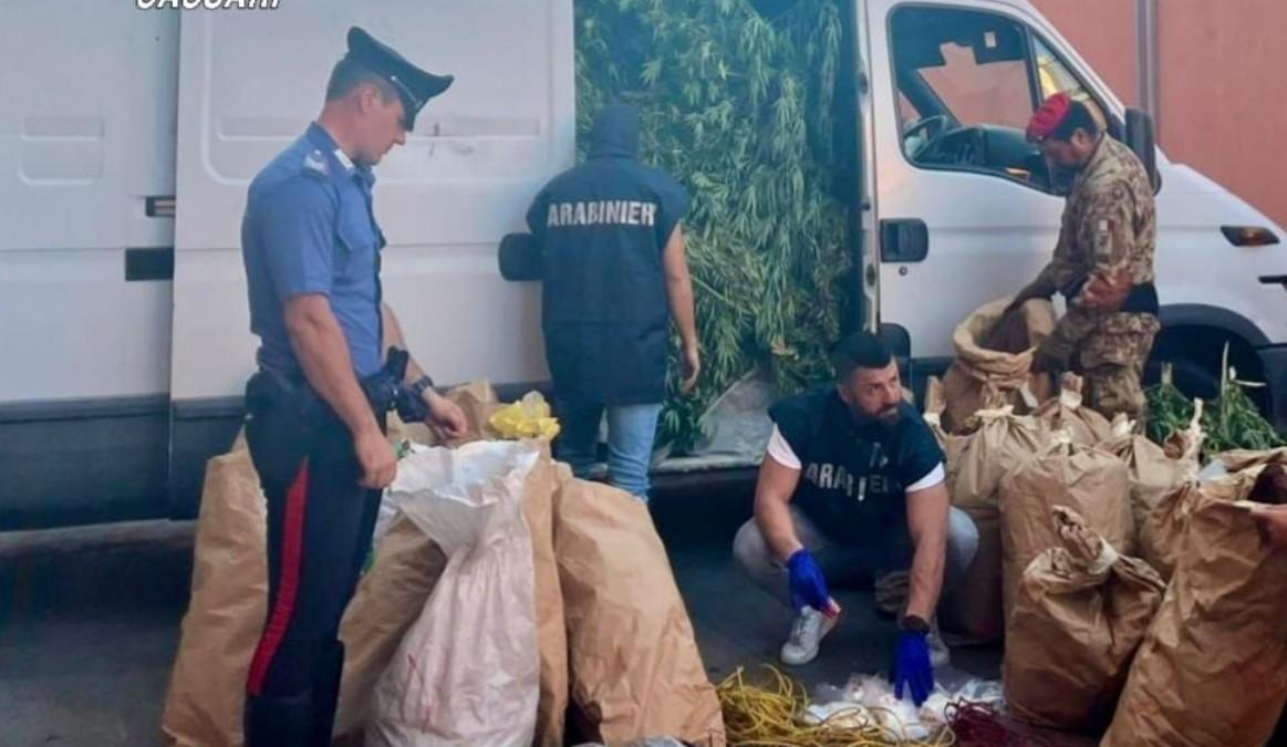 Scoperta una maxi piantagione di marijuana: arrestati due fratelli imprenditori agricoli