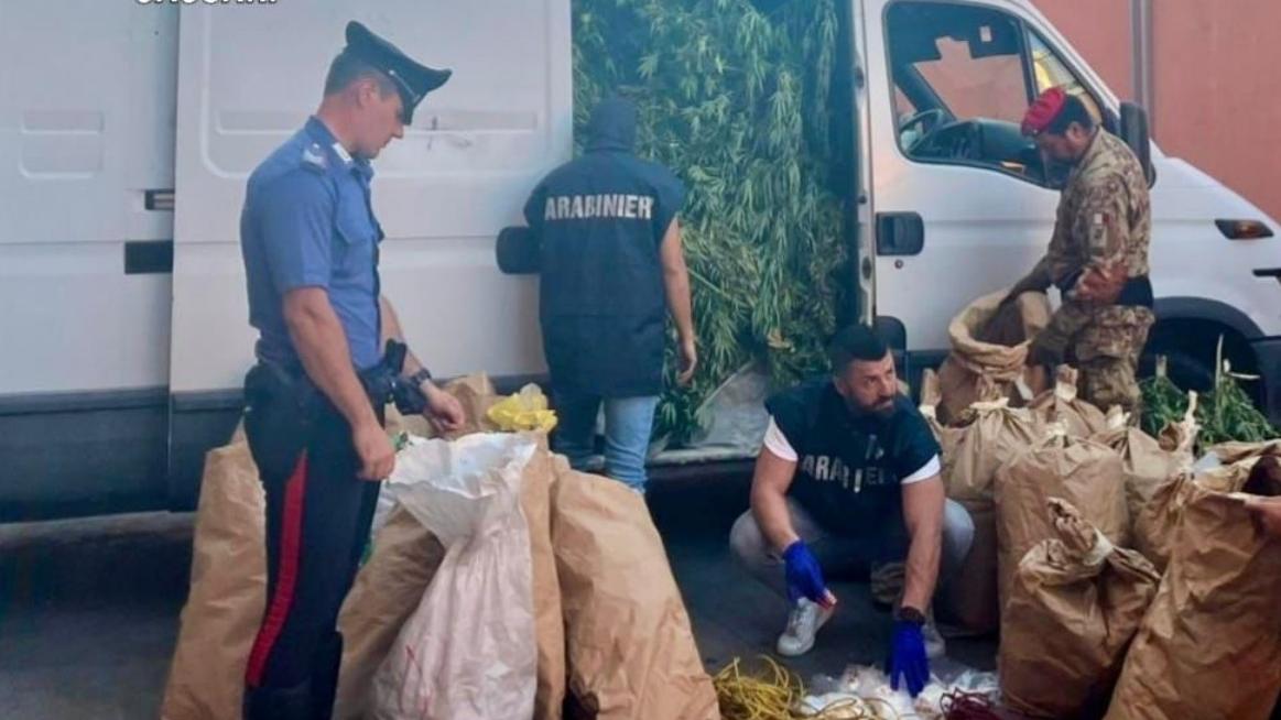 Scoperta una maxi piantagione di marijuana: arrestati due fratelli imprenditori agricoli