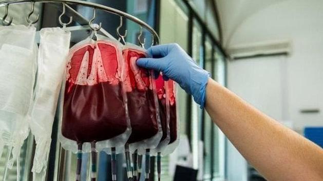 (foto di repertorio)