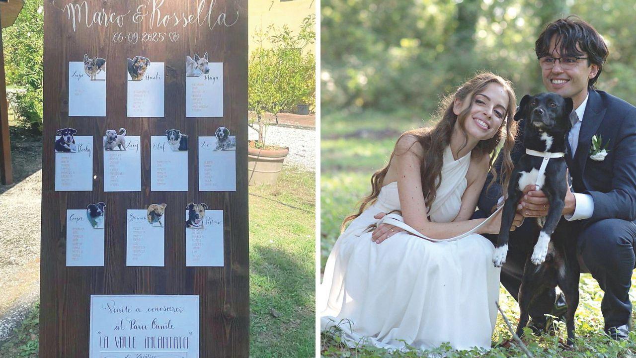 Alcune immagini del matrimonio