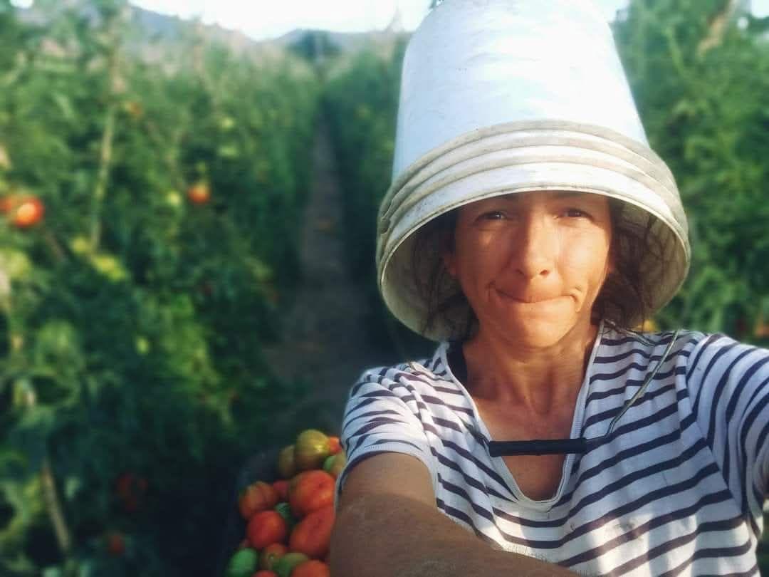 Francesca Pachetti in mezzo ai suoi pomodori