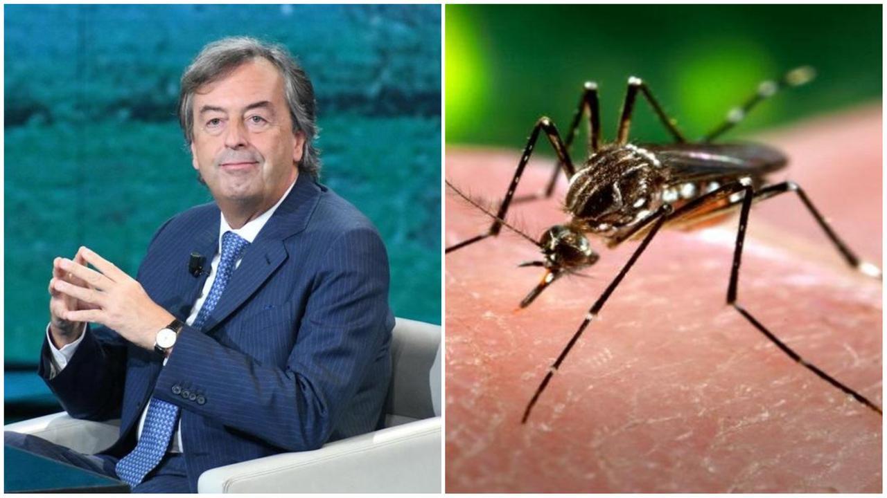 Il virologo Burioni parla dei virus trasmessi dalla zanzara tigre