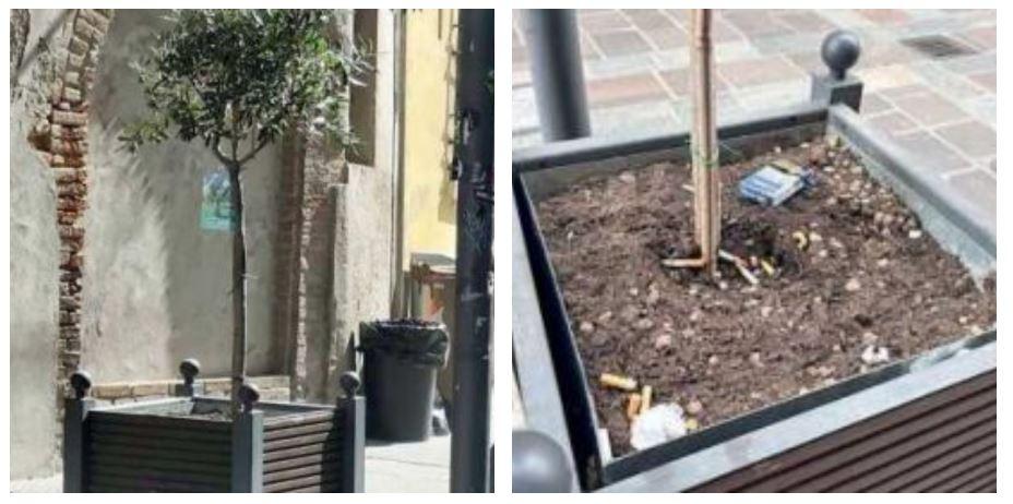 Le fioriere adottate dai cittadini, diventano posacenere durante la movida