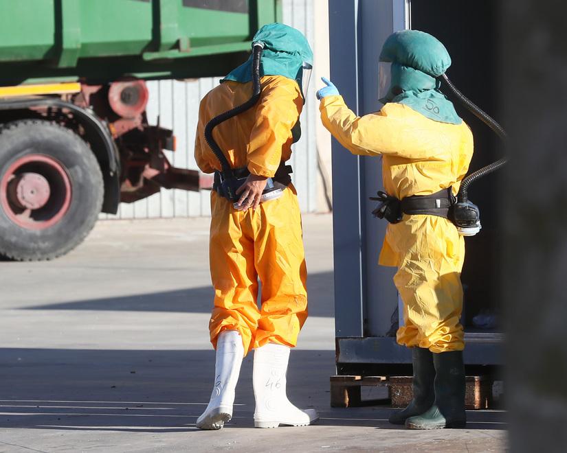 Caporalato a Codigoro, la difesa della cooperativa: «Non abbiamo sfruttato nessuno»