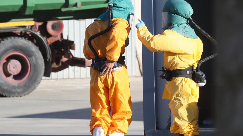 Caporalato a Codigoro, la difesa della cooperativa: «Non abbiamo sfruttato nessuno»