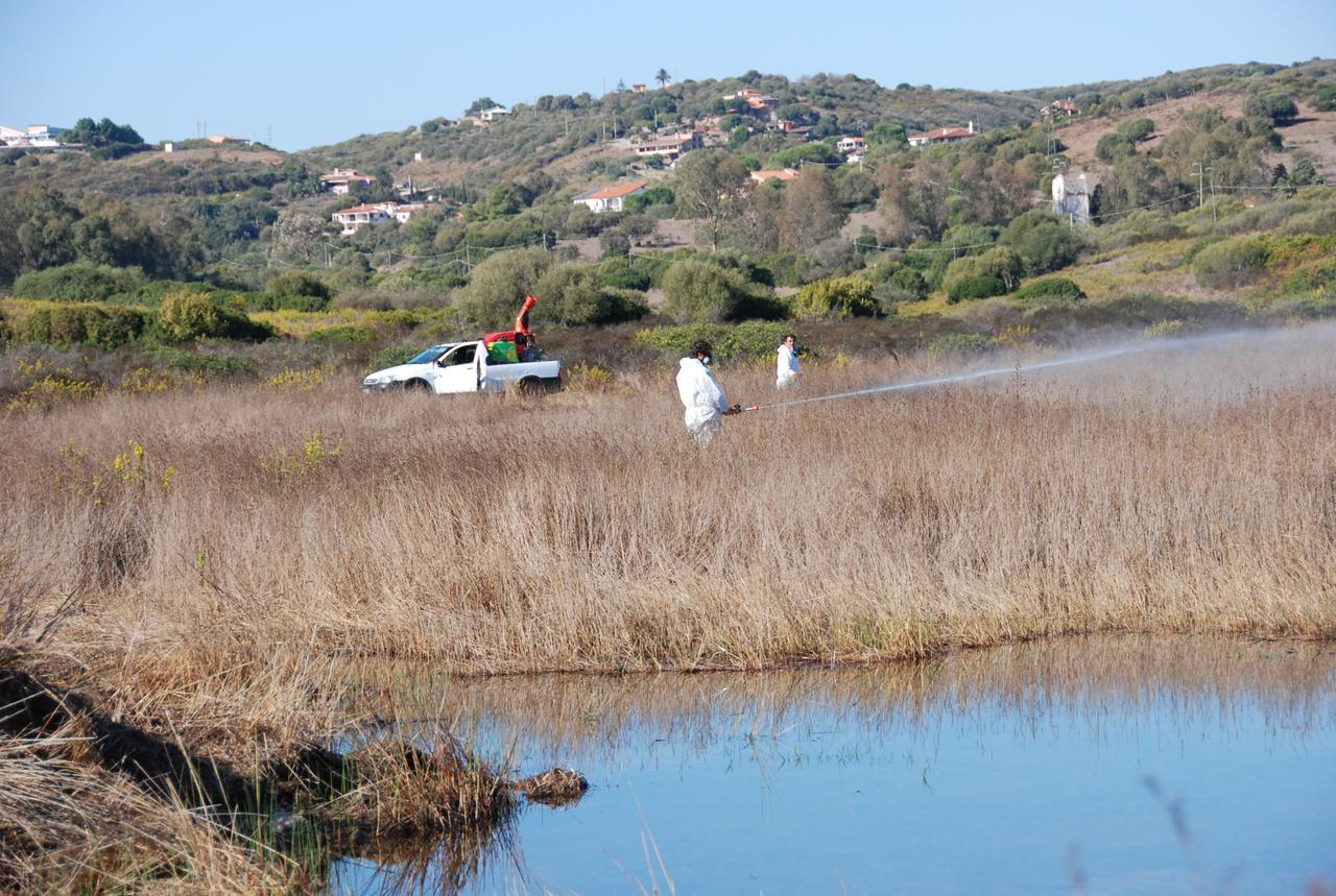 
	Disinfestazione anti West Nile nelle zone umide

