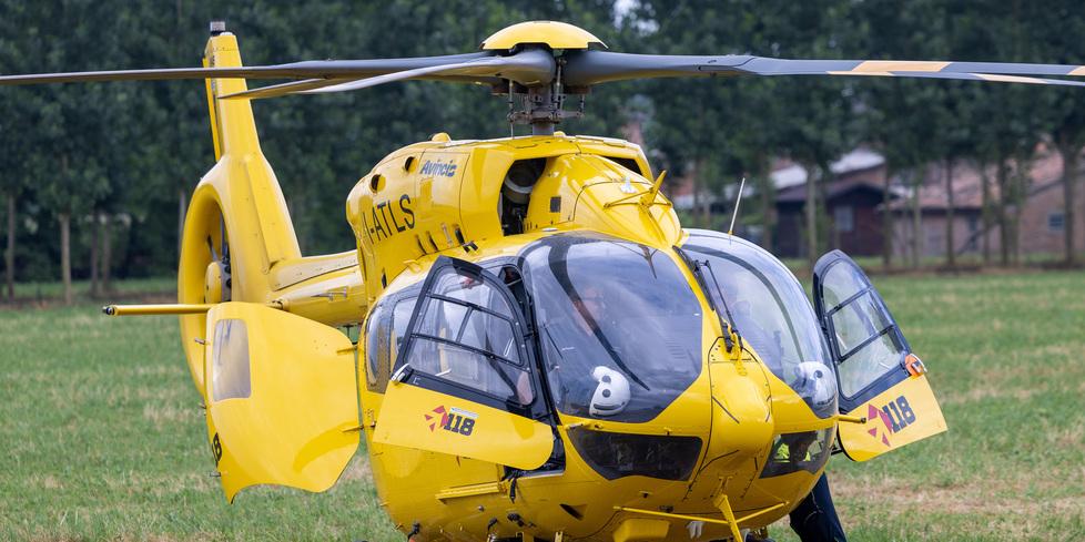 Punto da un insetto nel bosco, salvato alla Casa della comunità