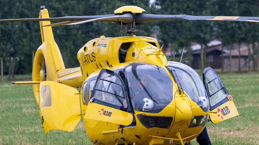 Punto da un insetto nel bosco, salvato alla Casa della comunità