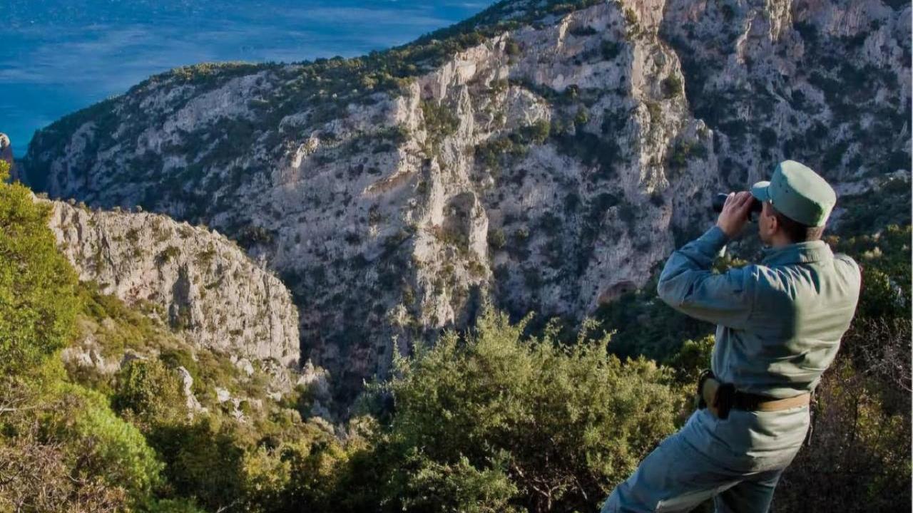 Dalla lotta agli incendi ai furti di sabbia, Corpo Forestale: 1500 servizi svolti nel corso dell’estate
