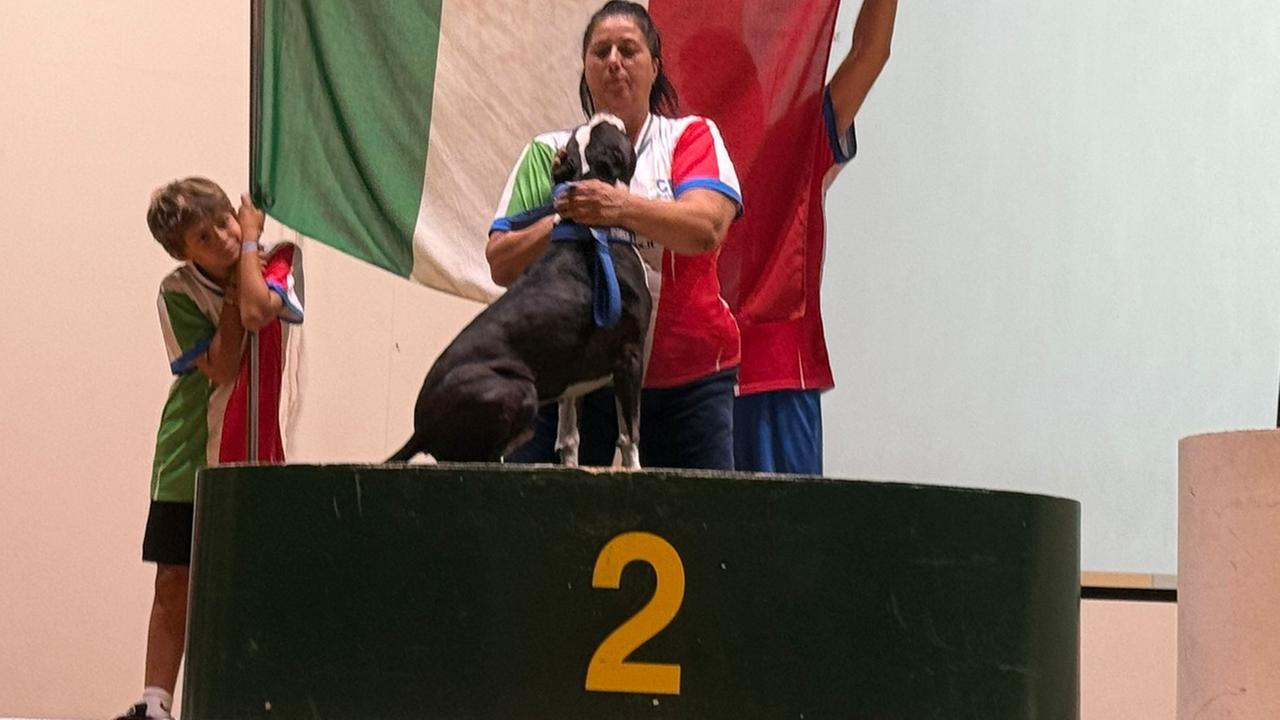 Patrizia, la rinascita grazie al cane Pablo: dal buio al podio mondiale di agility