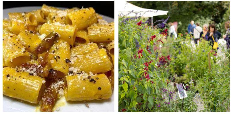 Dieci cose da fare nel week end a Reggio Emilia e provincia