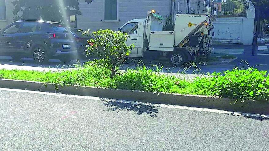 Il punto di viale Ippolito Nievo dove è avvenuto l’incidente