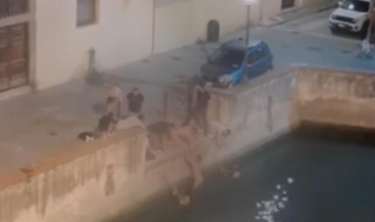 Livorno, turisti francesi nudi in Venezia si sfidano in una gara di tuffi nei fossi