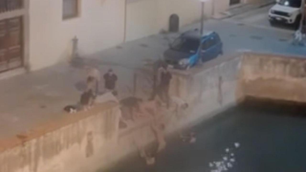 Livorno, turisti francesi nudi in Venezia si sfidano in una gara di tuffi nei fossi
