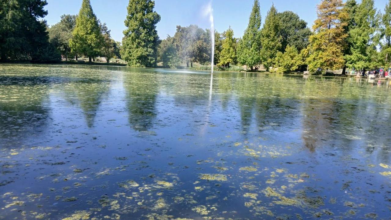 Il parco Amendola si avvicina ai 45 anni, i cittadini chiedono interventi: «Serve un restyling»