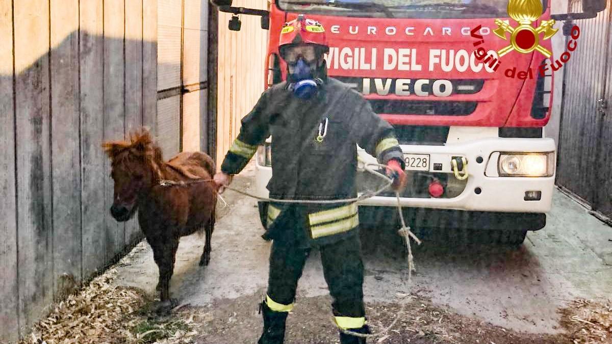 Incendio in un’azienda tessile: bruciate cinque auto e un container