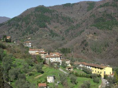 Villa Basilica, in corso le ricerche di una 70enne cercatrice di funghi