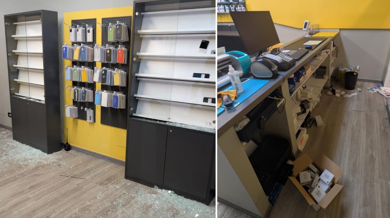 
	Le vetrine spaccate e il negozio a soqquadro

