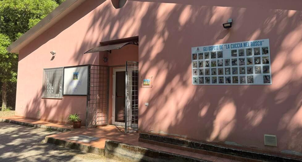 Il canile di Livorno è destinato a diventare una struttura  dove si studia il comportamento degli animali più difficili