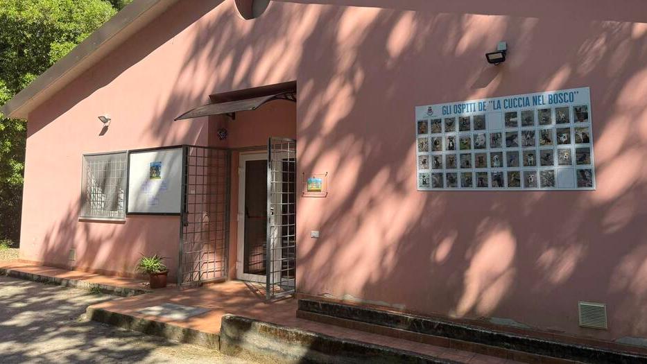 Il canile di Livorno è destinato a diventare una struttura dove si studia il comportamento degli animali più difficili