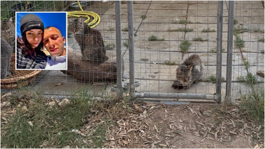 Sassari, un gesto di speranza per gli animali in difficoltà nel nome di Christian e Chiara