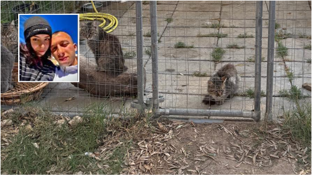 Sassari, un gesto di speranza per gli animali in difficoltà nel nome di Christian e Chiara