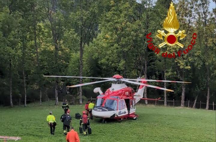 
	Il ritrovamento del fungaiolo

