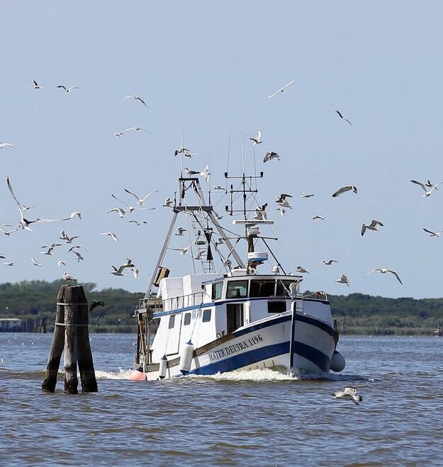 Cercasi mozzo, missione difficile a Porto Garibaldi: avviso dell’Ufficio marittimo