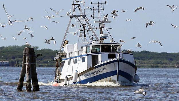 Cercasi mozzo, missione difficile a Porto Garibaldi: avviso dell’Ufficio marittimo