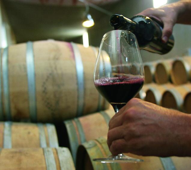 I vini sardi nell’Olimpo: ecco quelli che hanno conquistato i “Tre bicchieri” fra new entry e conferme