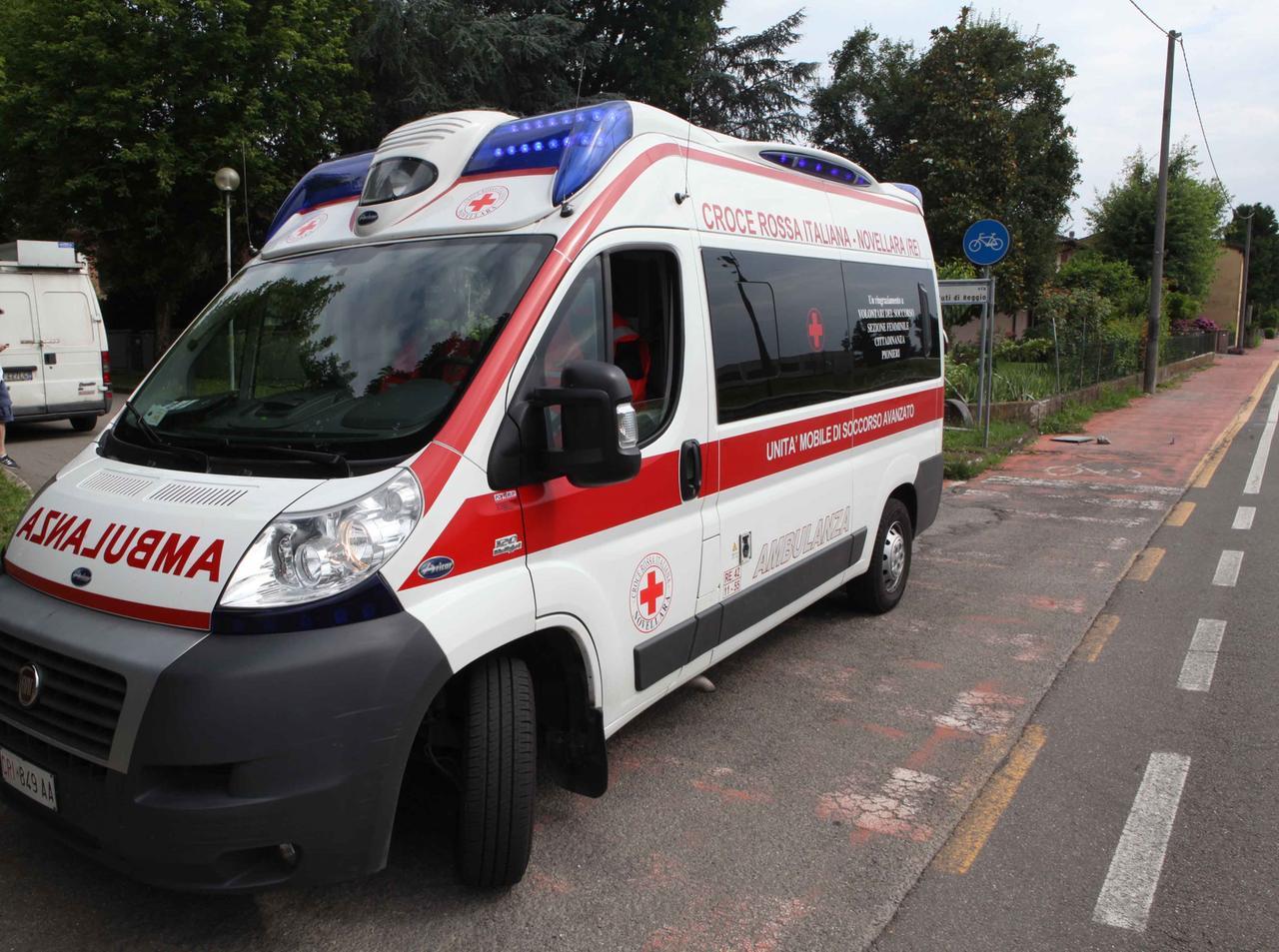 Novellara, punto da due calabroni mentre taglia una pianta: muore a 69 anni