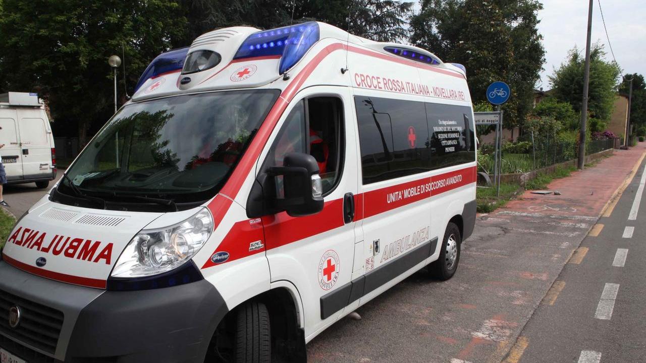 Novellara, punto da due calabroni mentre taglia una pianta: muore a 69 anni