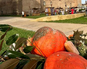 Fiera della zucca a Reggiolo: un viaggio nel gusto che parte dai tortelli