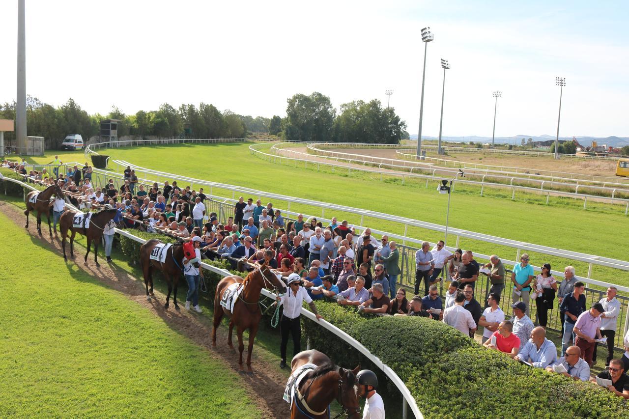 A Chilivani il 68° Gran Premio sardo degli anglo-arabi