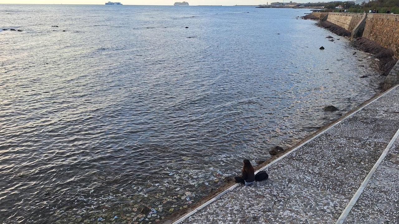 Livorno e il suo mare dei ricordi. Grazie ad Antonella Timore