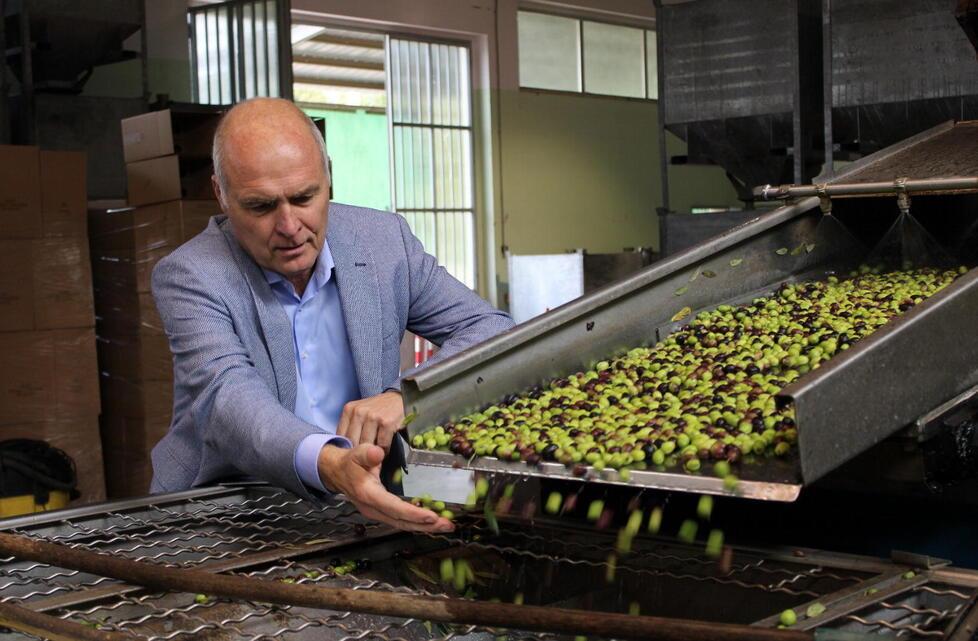 
	Fabrizio Filippi presidente di Olma

