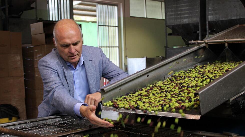 Fabrizio Filippi presidente di Olma