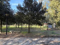 Non solo Jovanotti: la nuova vita del parco fluviale del Padrongianus