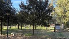 Non solo Jovanotti: la nuova vita del parco fluviale del Padrongianus