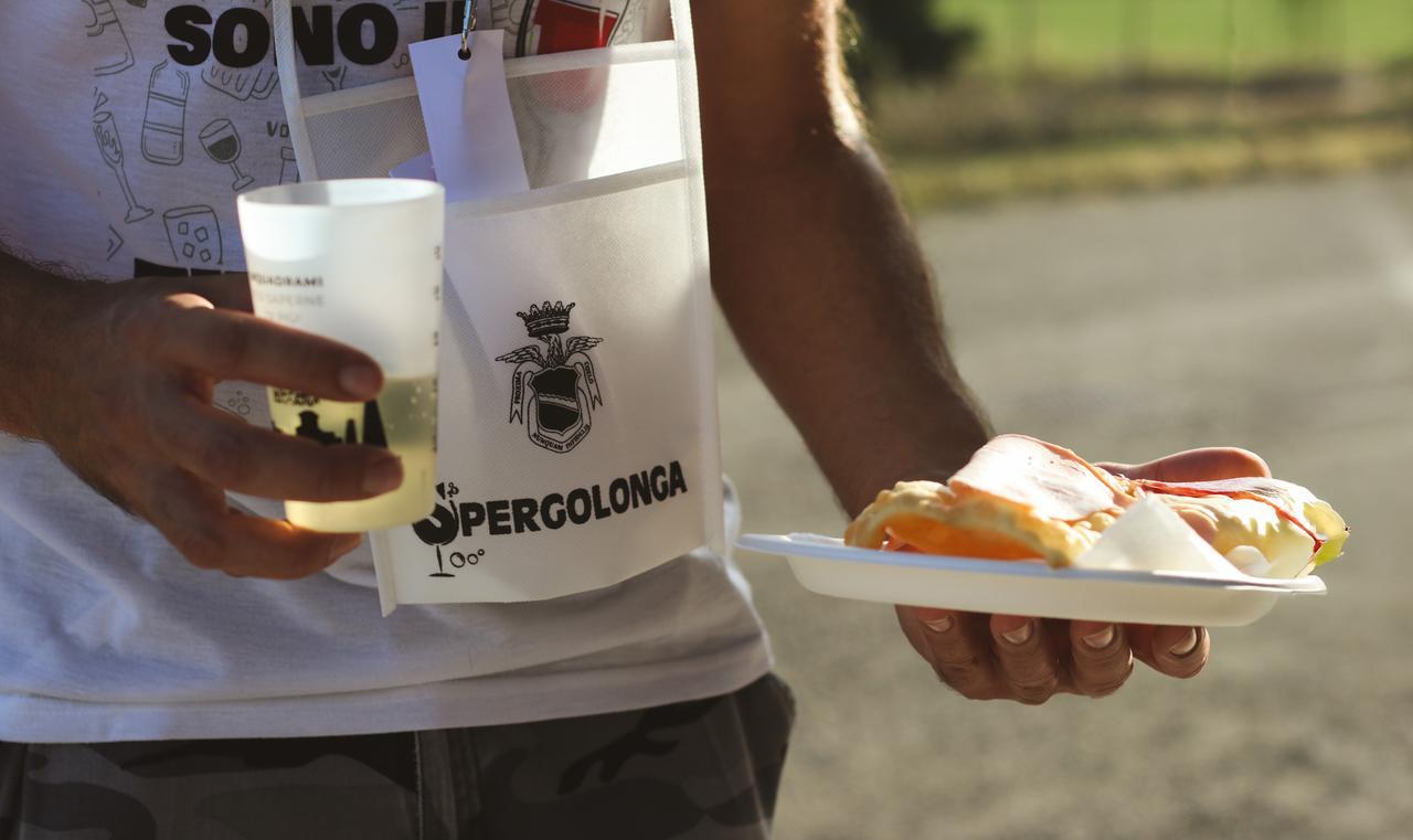 Scandiano, torna la Spergolonga: camminata tra colline, vino e sapori locali. Ecco come iscriversi