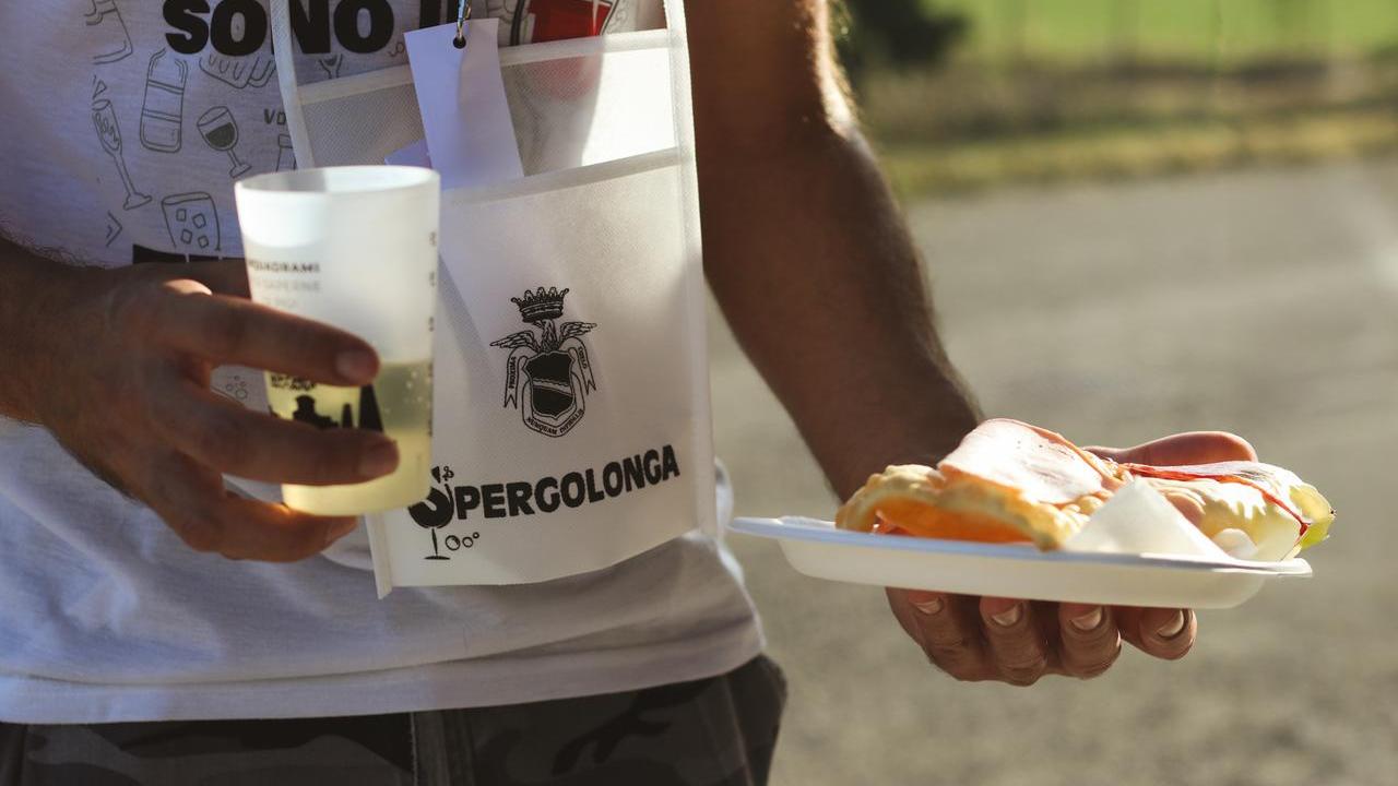 Scandiano, torna la Spergolonga: camminata tra colline, vino e sapori locali. Ecco come iscriversi