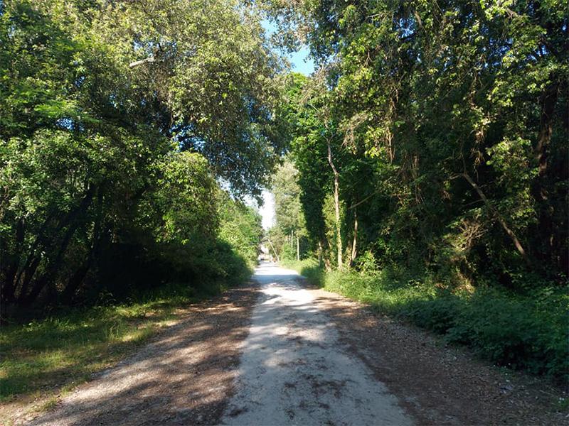 
	La zona dell'aggressione

